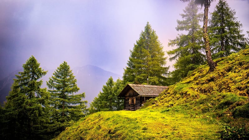 Rustic Cabin in the Woods